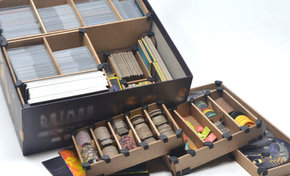 Batman: Shadow of the Bat Organizer